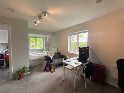 Picture 7